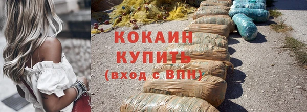 крисы Покачи