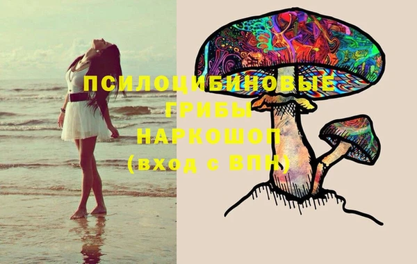 гашик Беломорск
