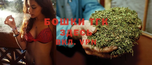 бошки Богданович