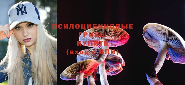 бошки Богданович