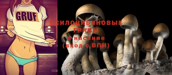 бошки Богданович