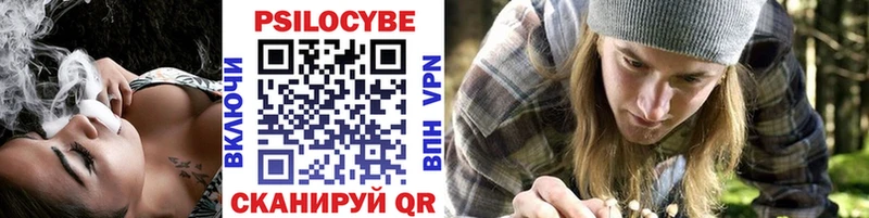 наркота  Клинцы  Галлюциногенные грибы прущие грибы 